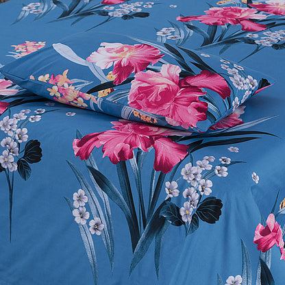 3 Pcs Premium soft cotton Bed sheet C-30